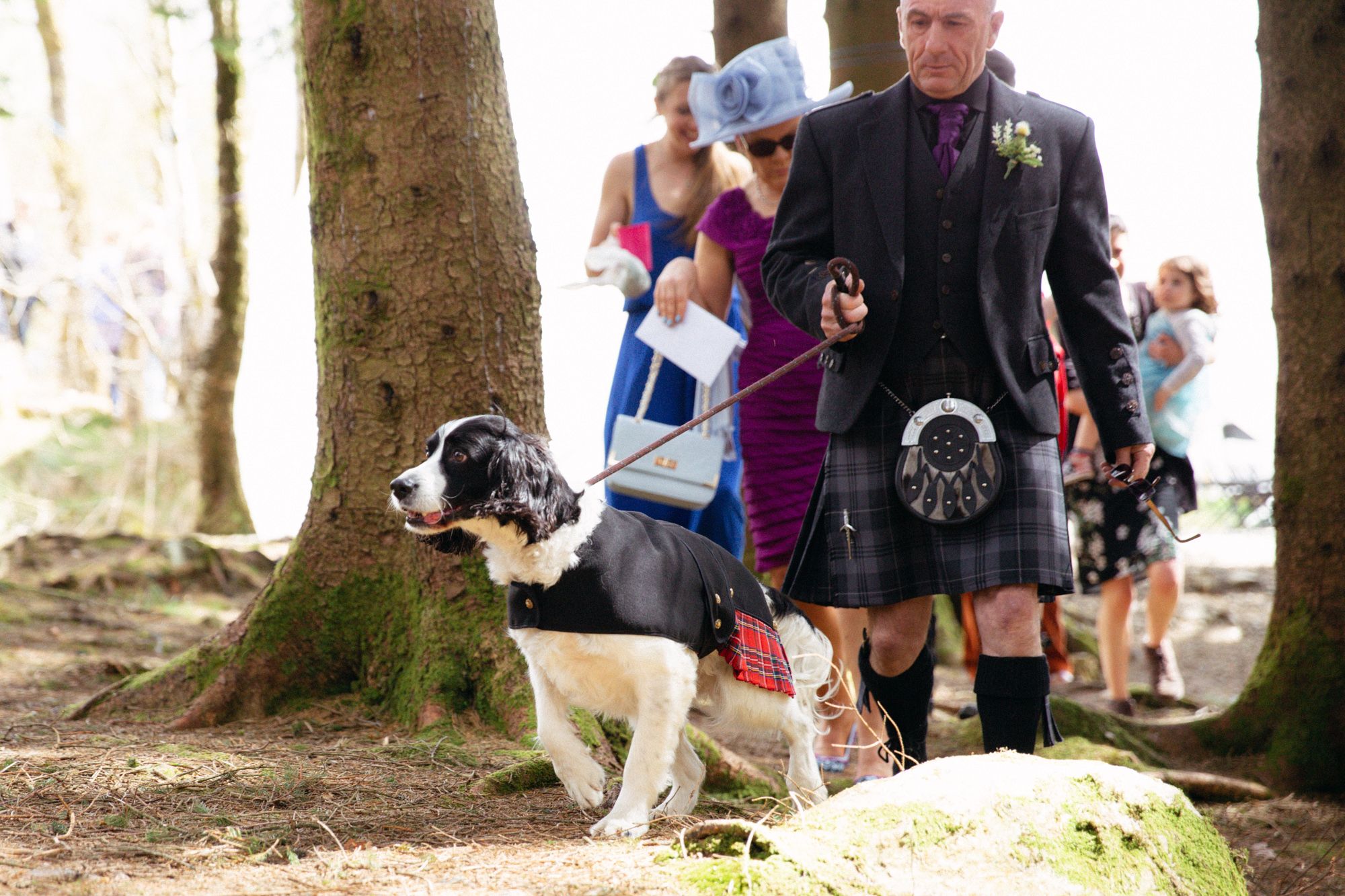 Wedding guests at rural forest wedding