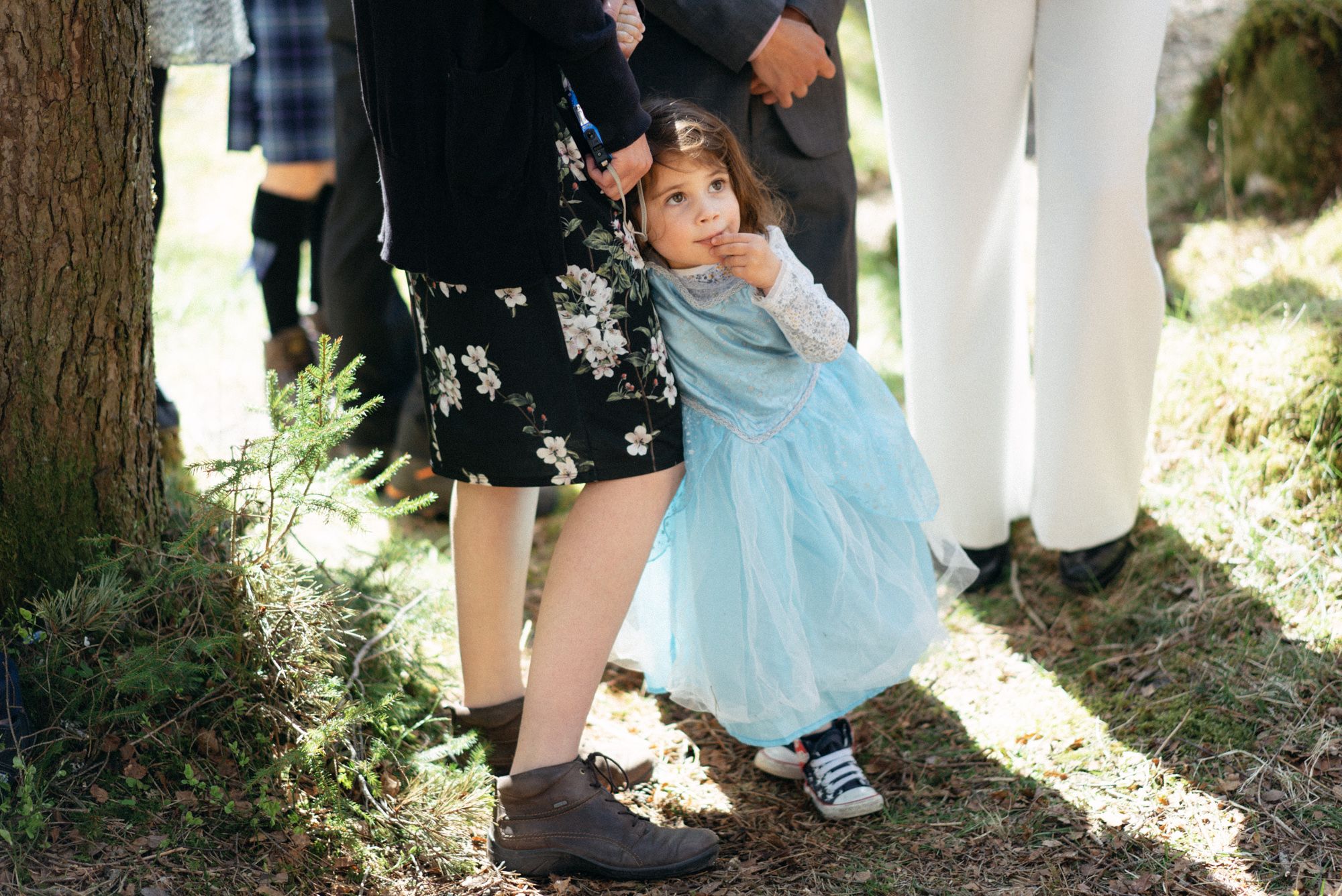 Wedding guests at rural forest wedding